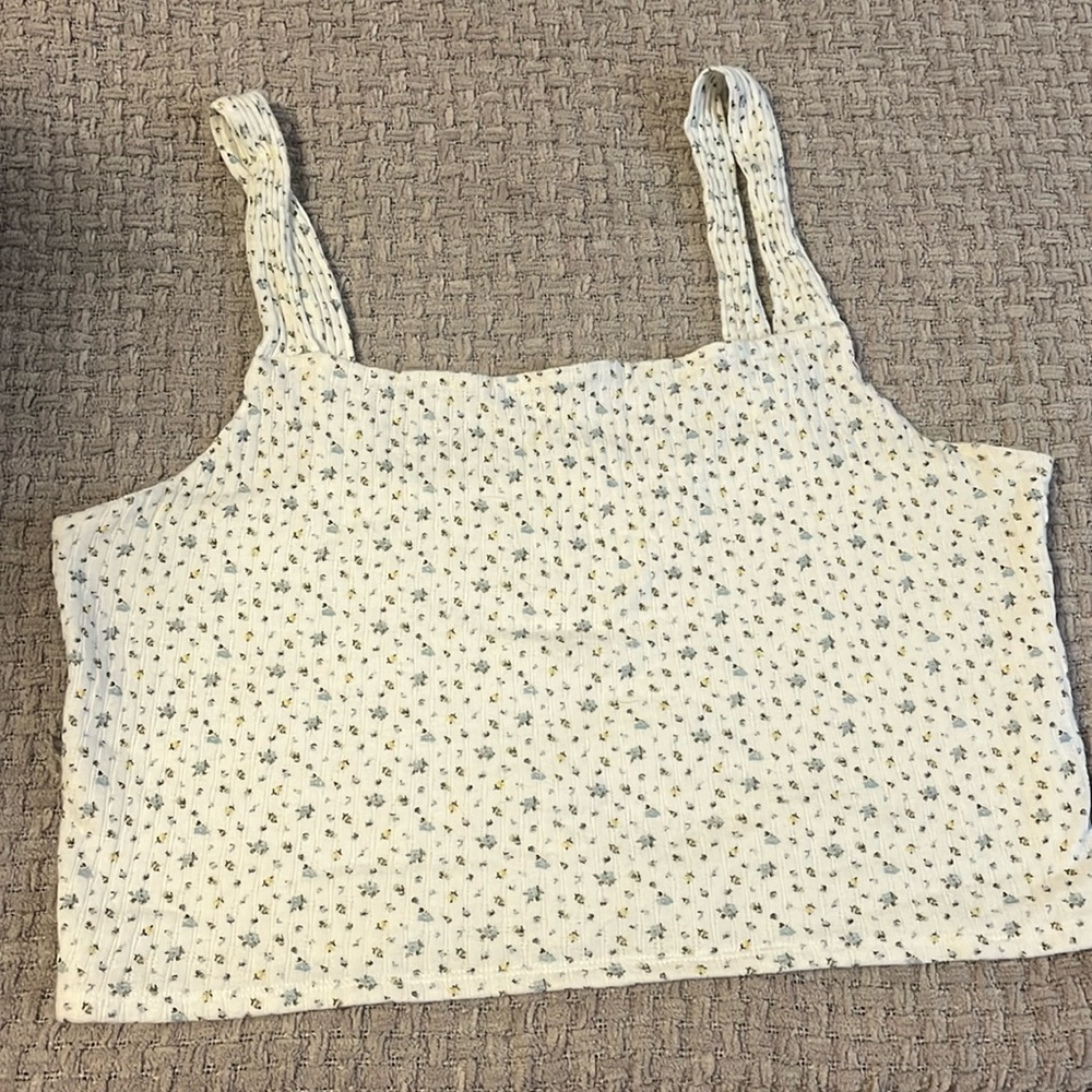 American Eagle Tank Croptop